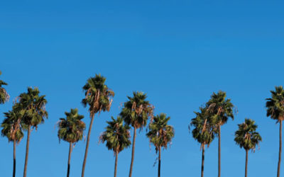 The wandering art collectors