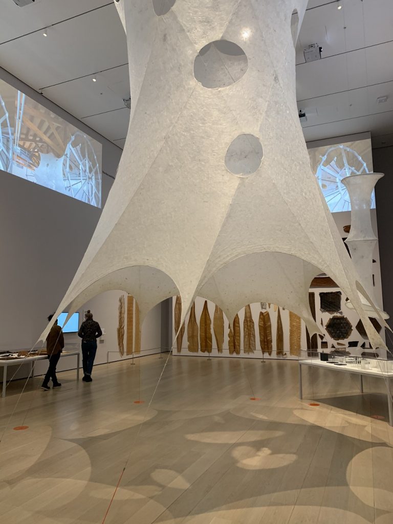 נרי אוקסמן מומה תערוכת יחיד