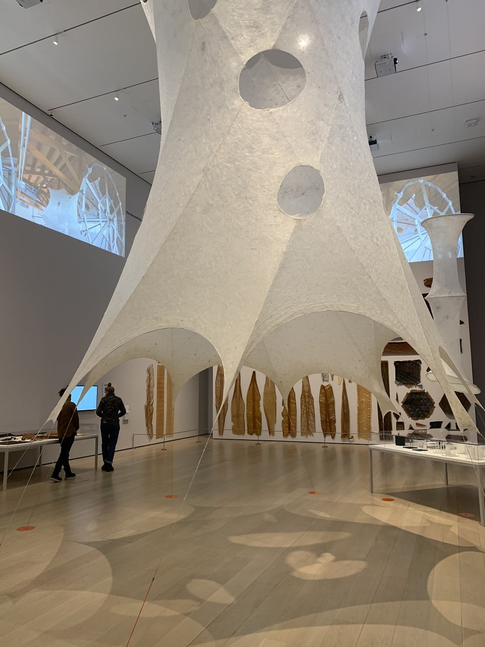 נרי אוקסמן מומה תערוכת יחיד