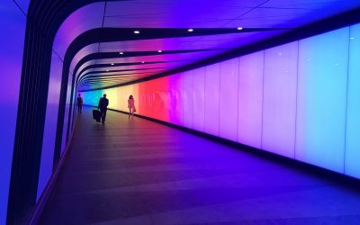 מחשבות על עתיד עולם האמנות 2