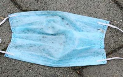 2020 בעולם האמנות-2