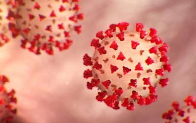 2020 בעולם האמנות