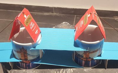 גבולות האמנות – מקרה מבחן