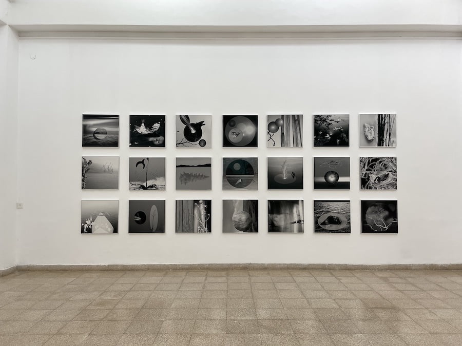 נעה בן-נון מלמד - אטלנטיס