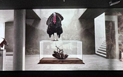 אמנות למרות הכל